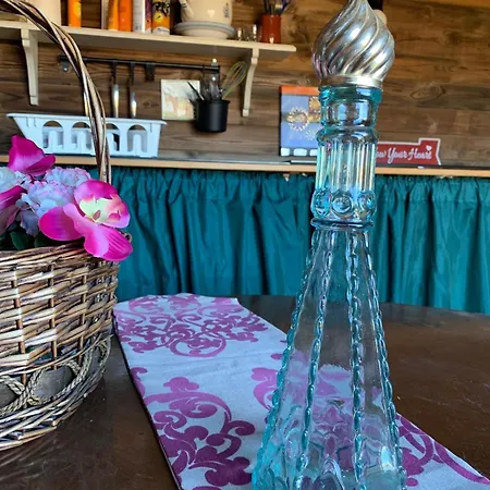 Luxury tent La Via De La Yurta