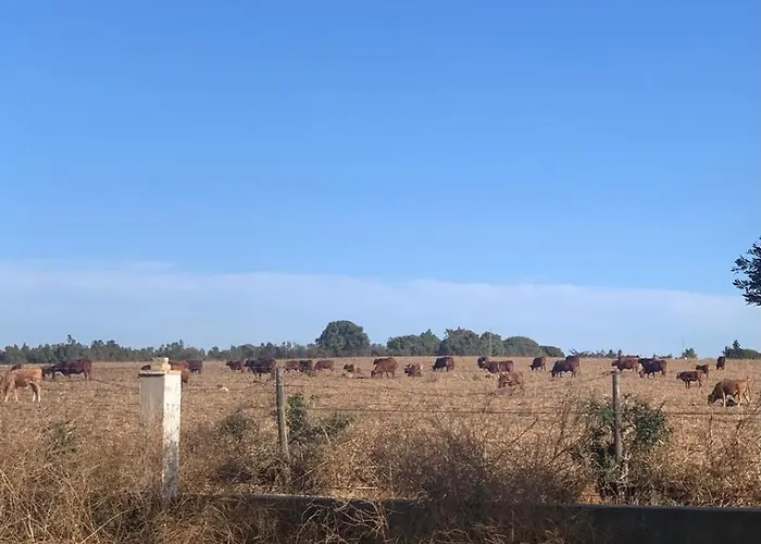 La Via De La Yurta *