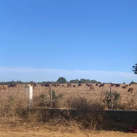 La Via De La Yurta *